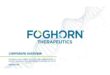 Foghorn Therapeutics exec sells over 6k in company stock