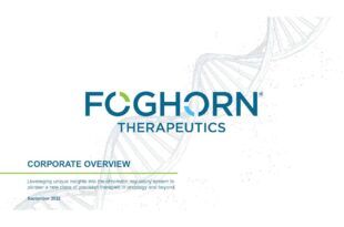 Foghorn Therapeutics exec sells over 6k in company stock