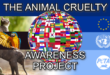 Community event raising awareness for animal cruelty victims