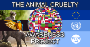Community event raising awareness for animal cruelty victims