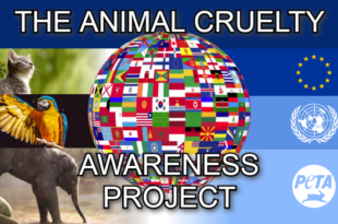 Community event raising awareness for animal cruelty victims