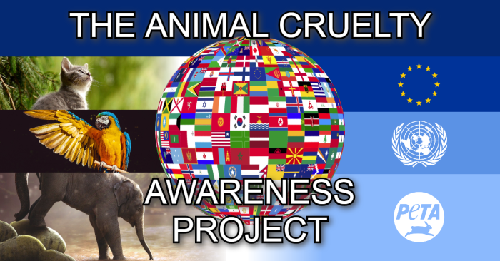 Community event raising awareness for animal cruelty victims