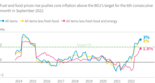 BOJ holds interest rates, flags steady growth in inflation