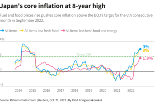 BOJ holds interest rates, flags steady growth in inflation