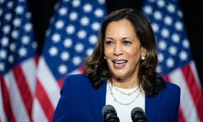 ‘He is proud that women are dying?’: Harris blasts Trump for deadly Georgia abortion ban