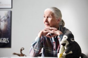 Jane Goodall announces youth-action program coming to San Francisco