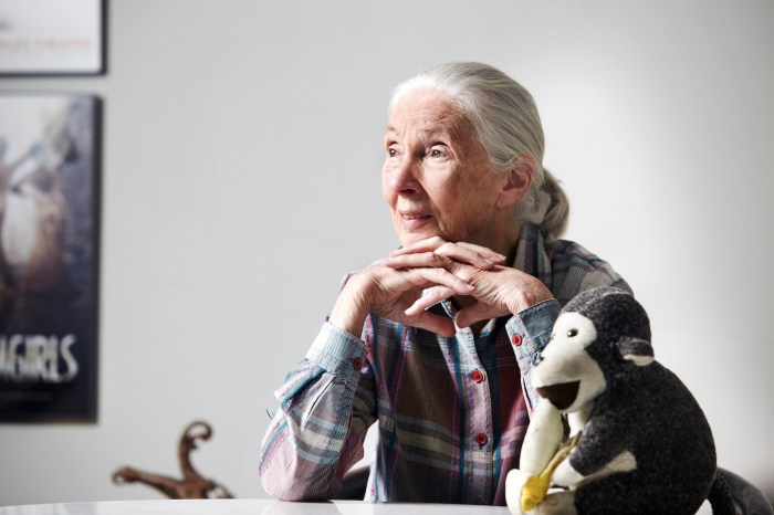 Jane Goodall announces youth-action program coming to San Francisco