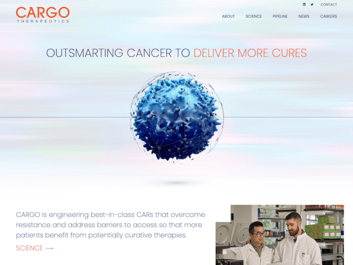 Cargo therapeutics CEO sells over 0k in company stock