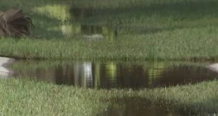 Edgewater residents discuss flooding issues at special city meeting