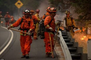 California fire agency worker faces arson charges