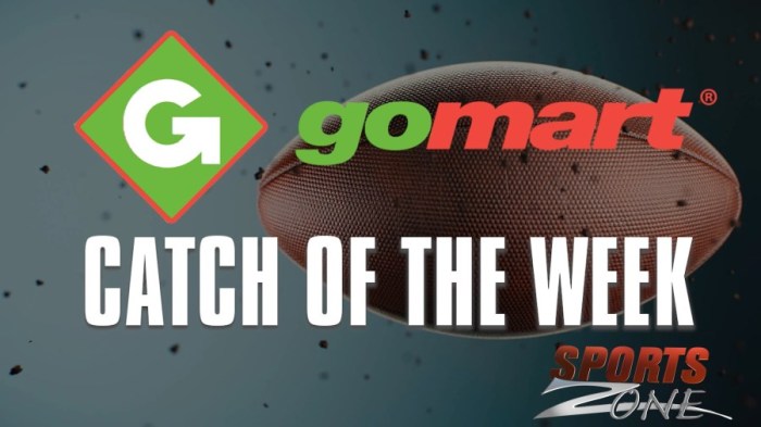 12 SportsZone GoMart Catch of the Week: Week 4