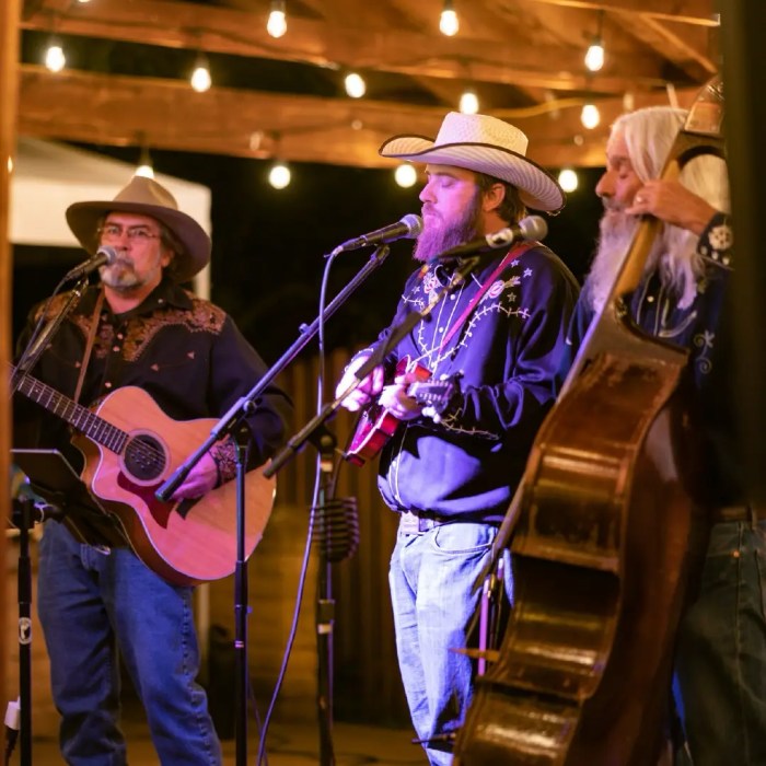 Tenderfoot Bluegrass Band celebrates 20 years with party in Manitou Springs