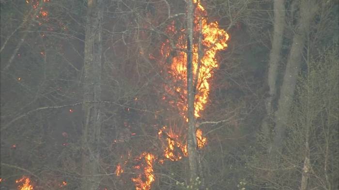 Fayette County passes 30-day burn ban due to drought conditions