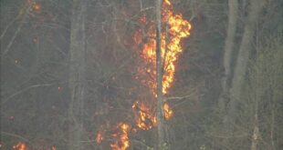 Fayette County passes 30-day burn ban due to drought conditions