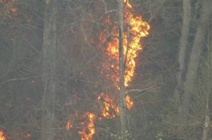 Fayette County passes 30-day burn ban due to drought conditions