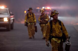 California firefighter accused of setting fires in wine country