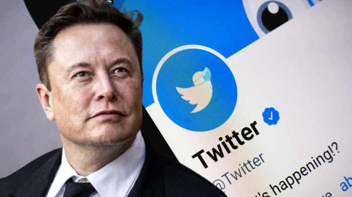 SEC plans to reprimand Musk for skipping testimony on Twitter takeover