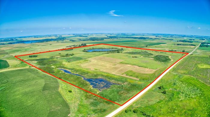 McFarland annexes 160 acres
