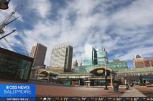 Election board asks judge to stay order on Harborplace ballot question