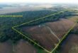 McFarland annexes 160 acres