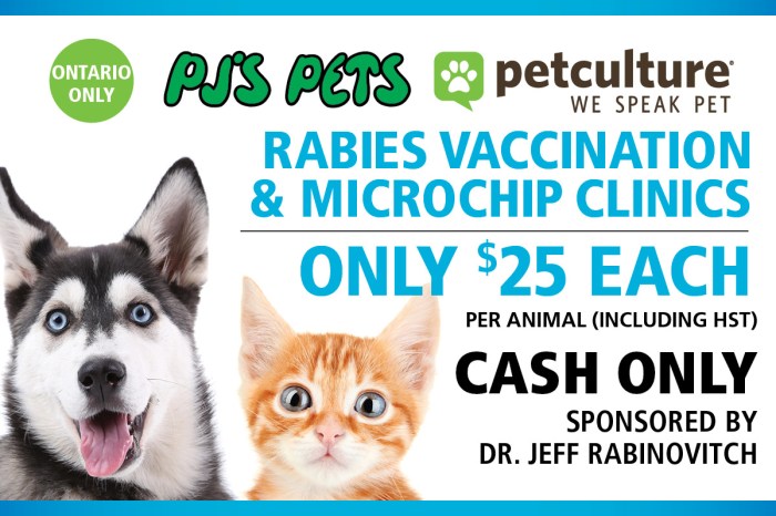 Free rabies shots, microchip offered at this clinic in Los Banos