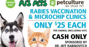 Free rabies shots, microchip offered at this clinic in Los Banos