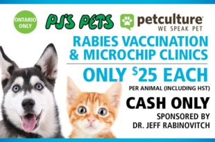 Free rabies shots, microchip offered at this clinic in Los Banos