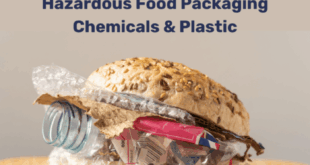 More than 3,000 chemicals enter the body through food packaging, study finds