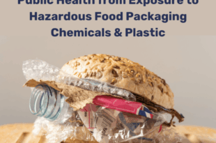 More than 3,000 chemicals enter the body through food packaging, study finds