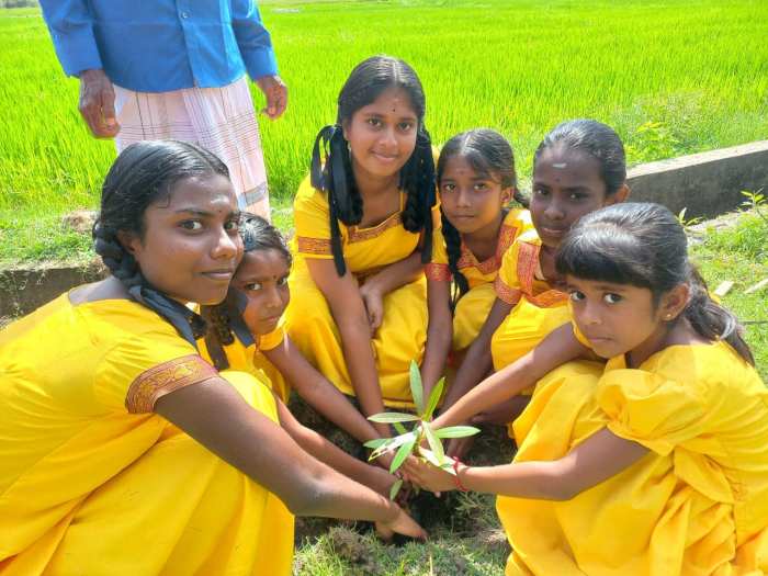 Students plant trees for World Peace Day