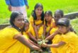 Students plant trees for World Peace Day