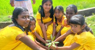 Students plant trees for World Peace Day
