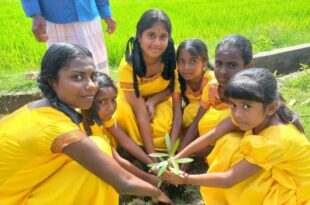 Students plant trees for World Peace Day