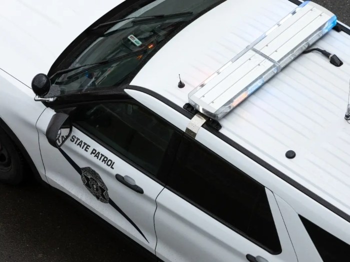 Seattle drivers hit by I-90 rock thrower, again