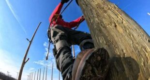 Texas State Technical College’s lineworker program named best in U.S.