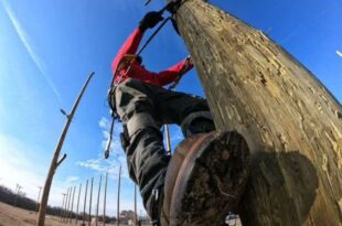 Texas State Technical College’s lineworker program named best in U.S.