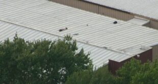 Local police responsible for roof where Trump shooter hid at Butler rally had never spoken to Secret Service, report says