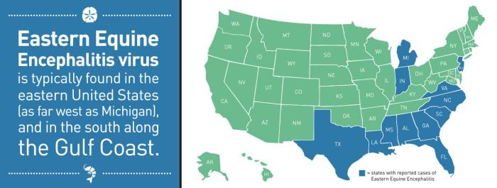 New York state reports 1st human case of EEE in nearly a decade
