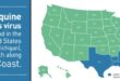 New York state reports 1st human case of EEE in nearly a decade