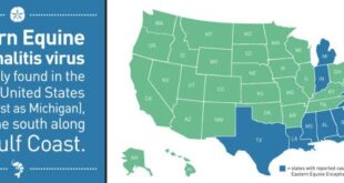 New York state reports 1st human case of EEE in nearly a decade