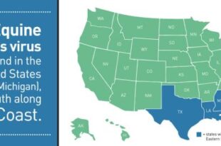 New York state reports 1st human case of EEE in nearly a decade