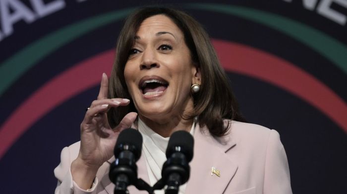Where are Harris’ policies, asks GOP activist