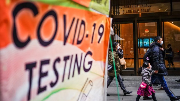 Latest COVID variant, XEC, has spread to half of US states, reports say