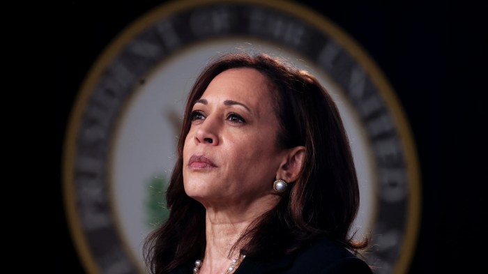 'She should be alive today' — Harris spotlights woman's death to blast abortion bans and Trump