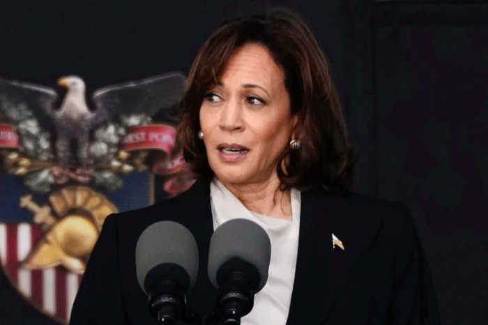 'She should be alive today' — Harris spotlights woman's death to blast abortion bans and Trump