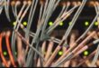 Texas Tribune to host AI conversation