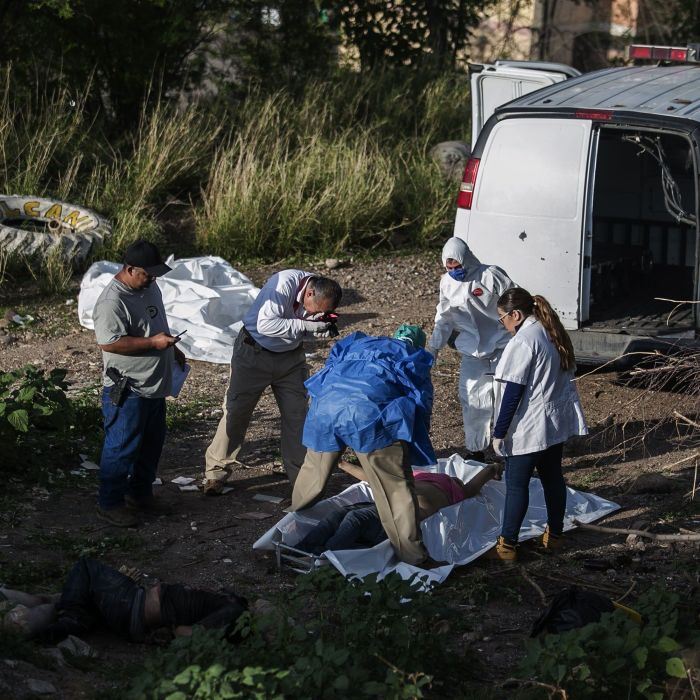Bodies sinaloa personnel forensic inspecting murdered culiacán wsj mexican Mexican president blames US in part for rise in violence in Sinaloa