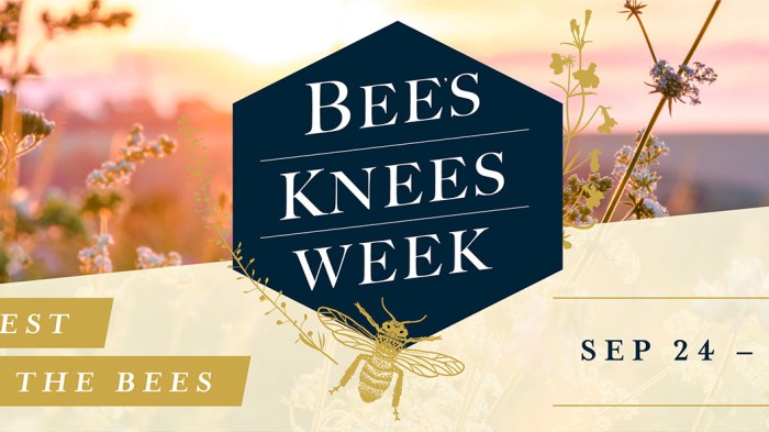 Cocktails for a cause: Barr Hill Gin hosts “Bee’s Knees Week”