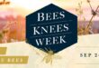 Cocktails for a cause: Barr Hill Gin hosts “Bee’s Knees Week”
