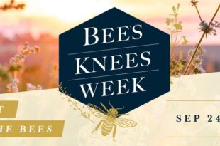 Cocktails for a cause: Barr Hill Gin hosts “Bee’s Knees Week”